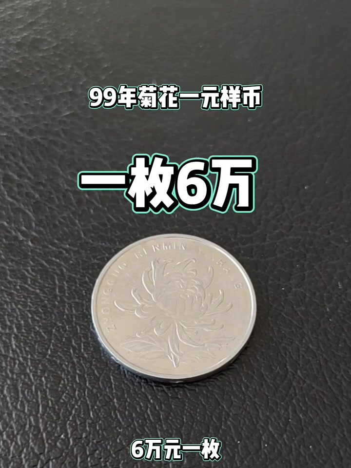 这样的99菊花一元单枚6万!收藏爱好者 钱币收藏