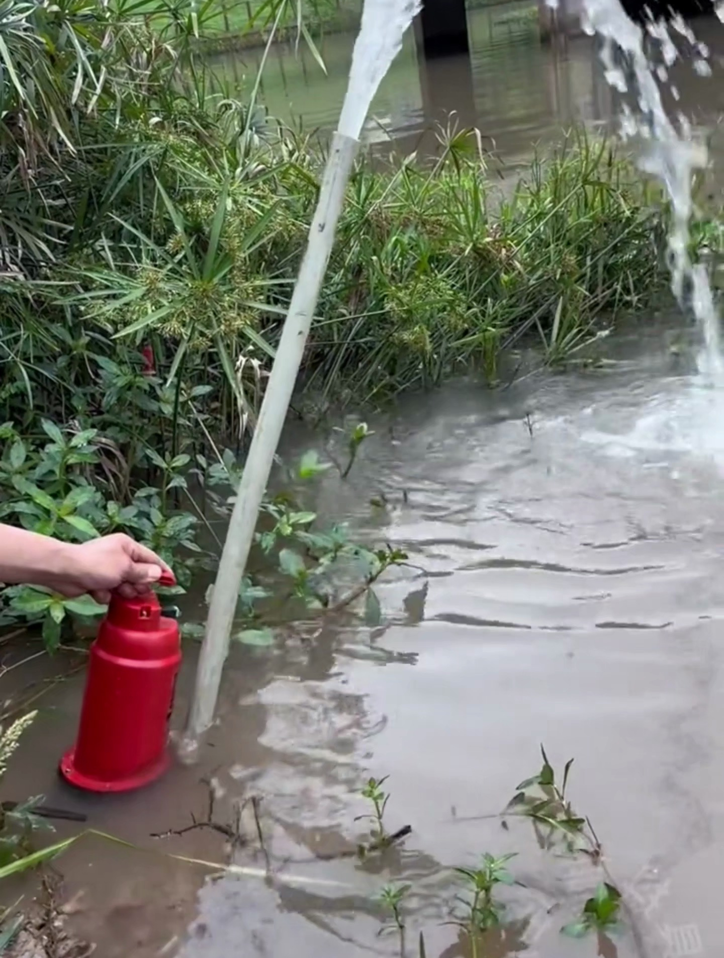 看看这出水的效果,无线锂电抽水泵,真方便