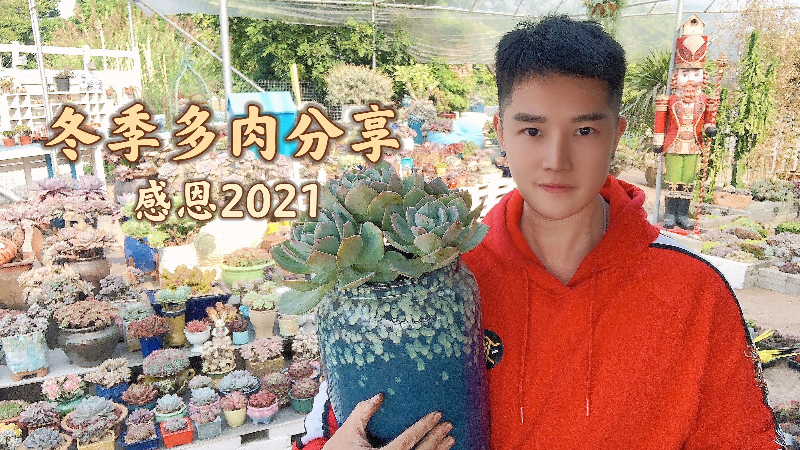 多肉植物多头白凤太美了,它是整个冬天,多肉花园里的主角!