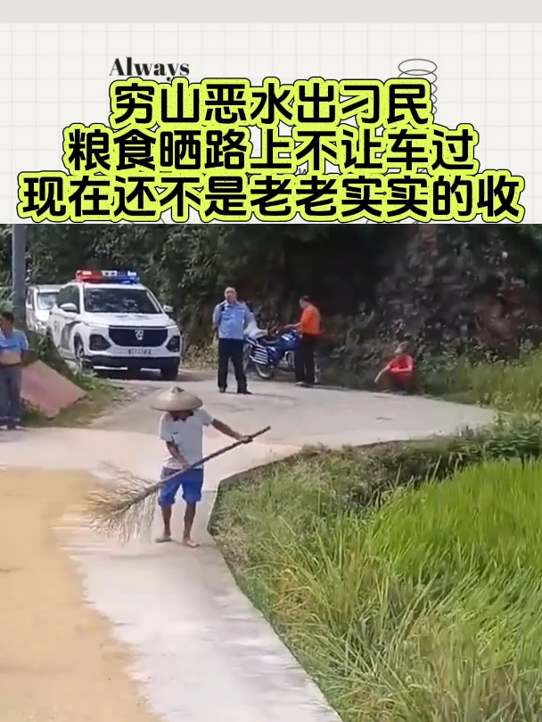 窮山惡水出刁民糧食曬路上不讓車過現在還不是老老實實的收