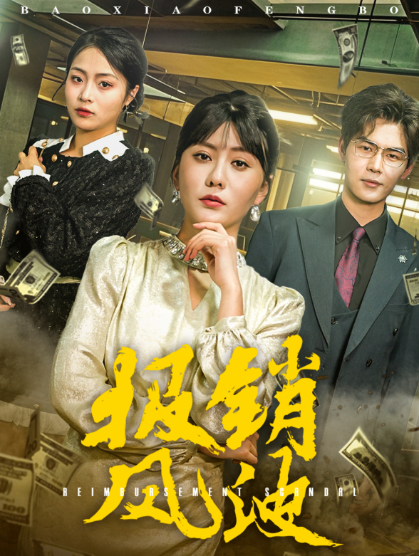 报销风波封面图