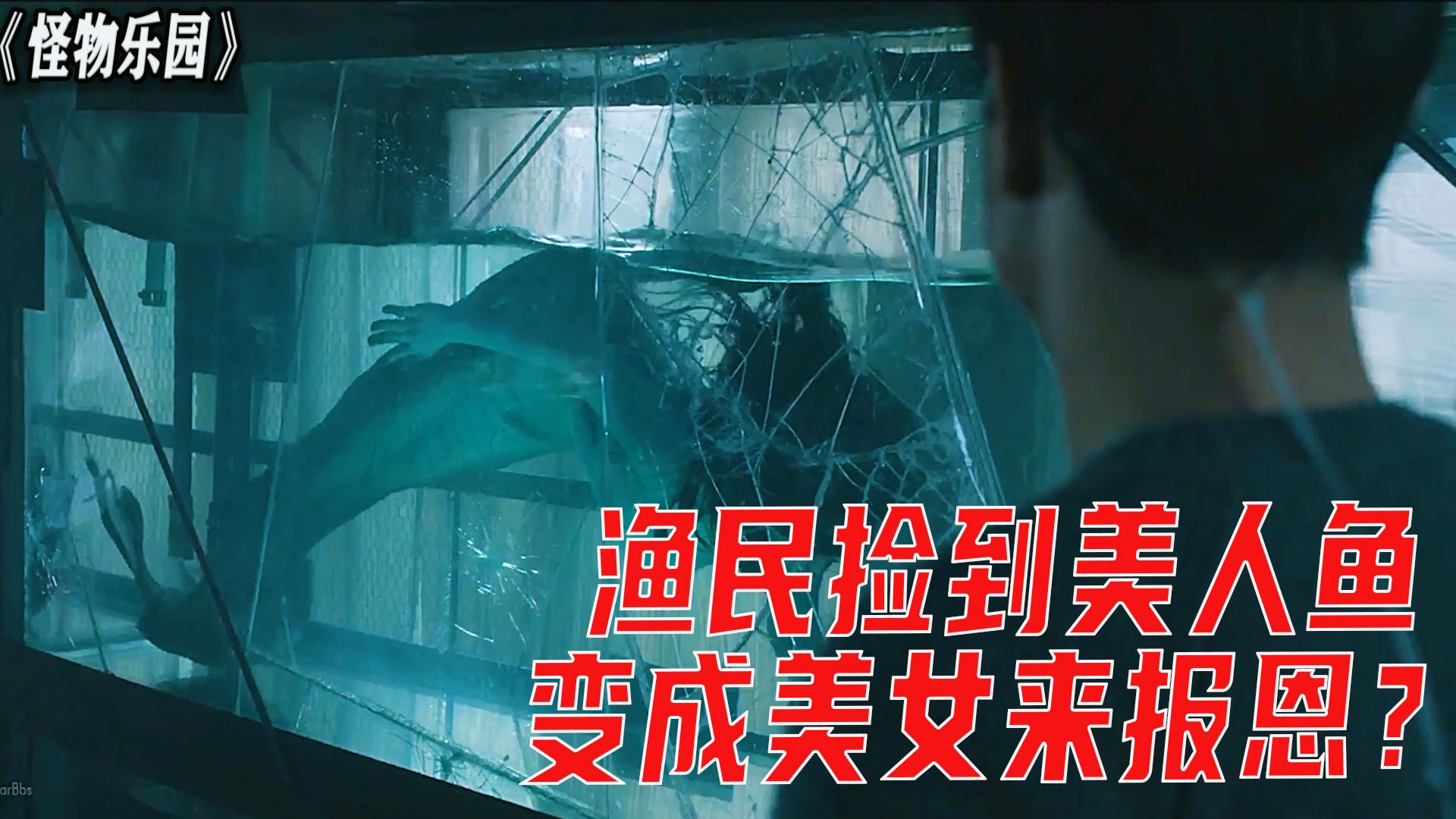 渔民在海滩救下美人鱼,带回家养着鱼缸,美人鱼变身美女报恩
