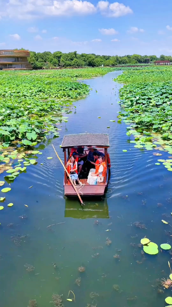 江南风景秀最忆在荷塘金桨木兰船戏采江南莲