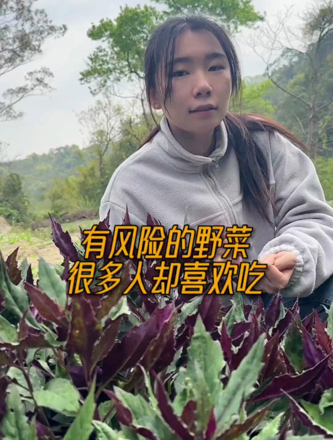 红得发紫,吃起来有风险,却还有很多人喜欢的野菜