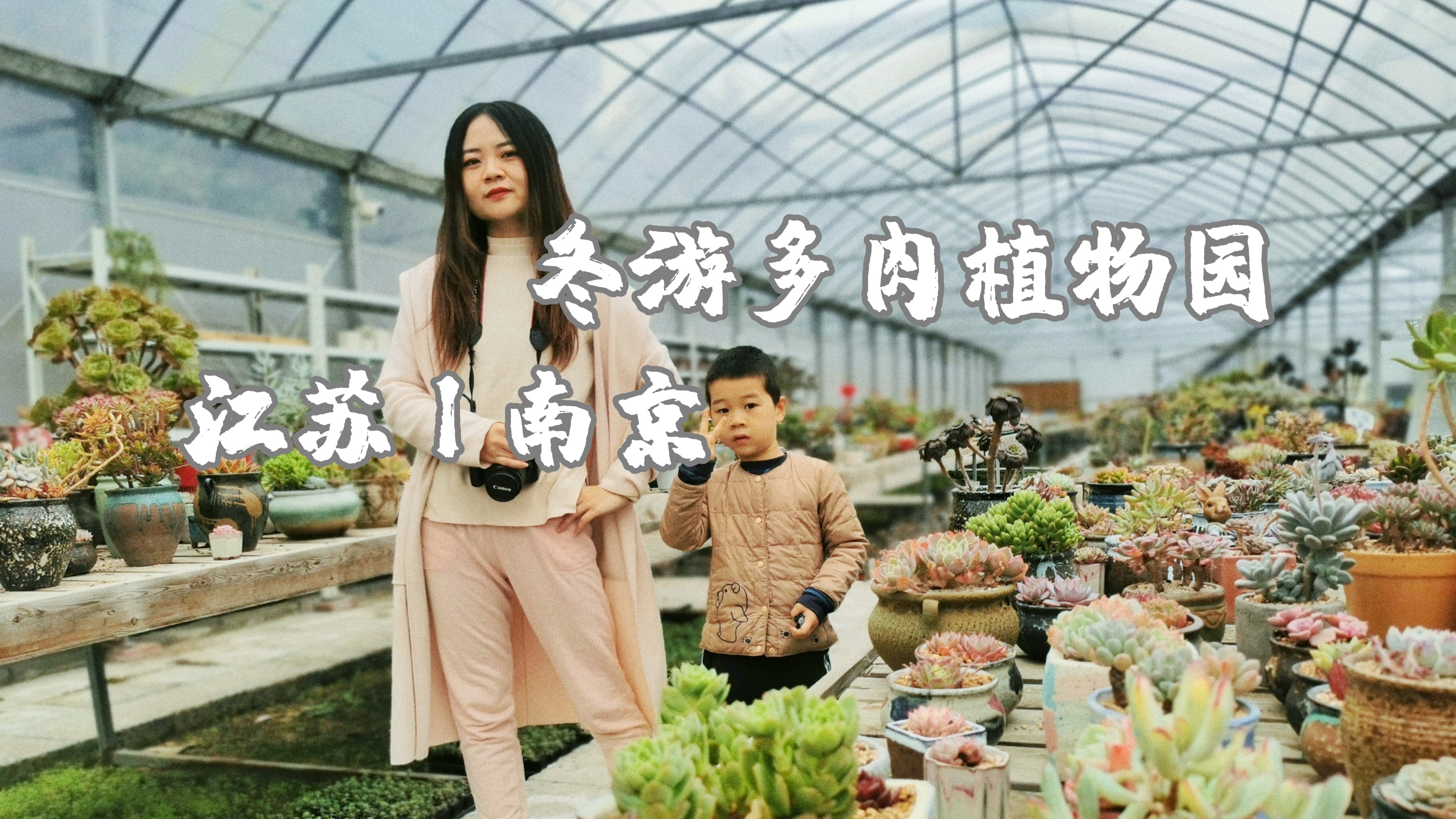 冬日旅行去哪里?南京湖熟多肉植物园,五彩斑斓,亲子免费参观