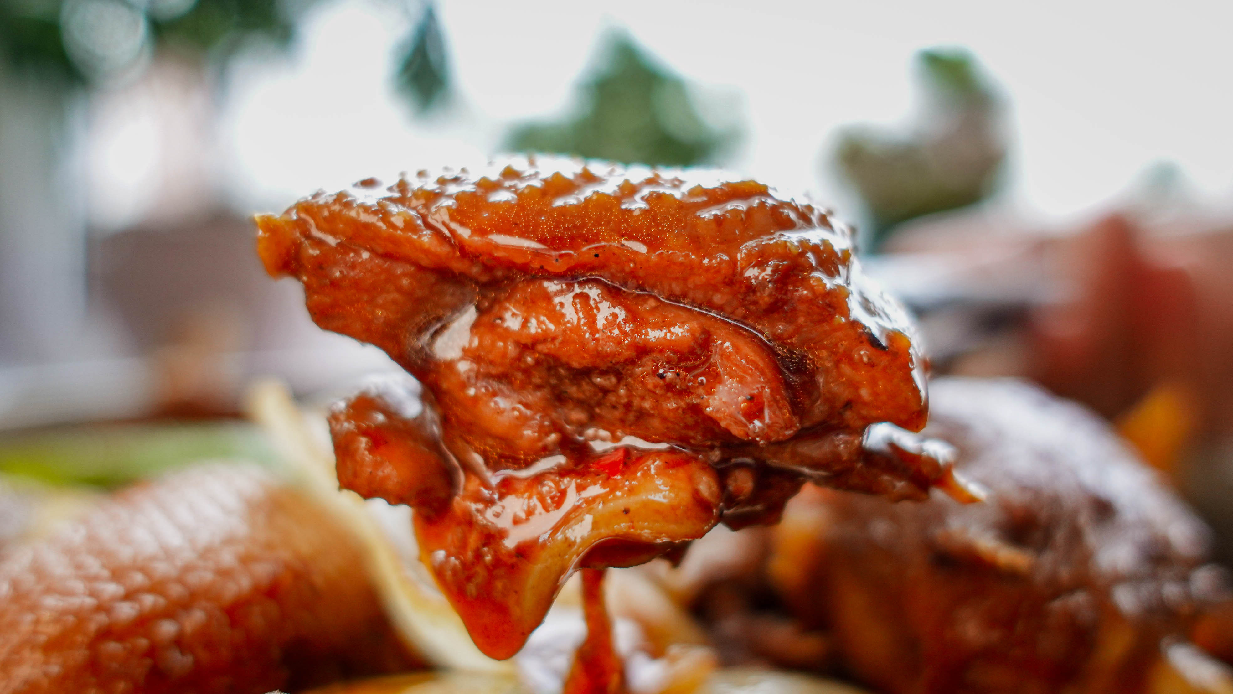 「啤酒鸭」一只没有脚的鸭子的梦想