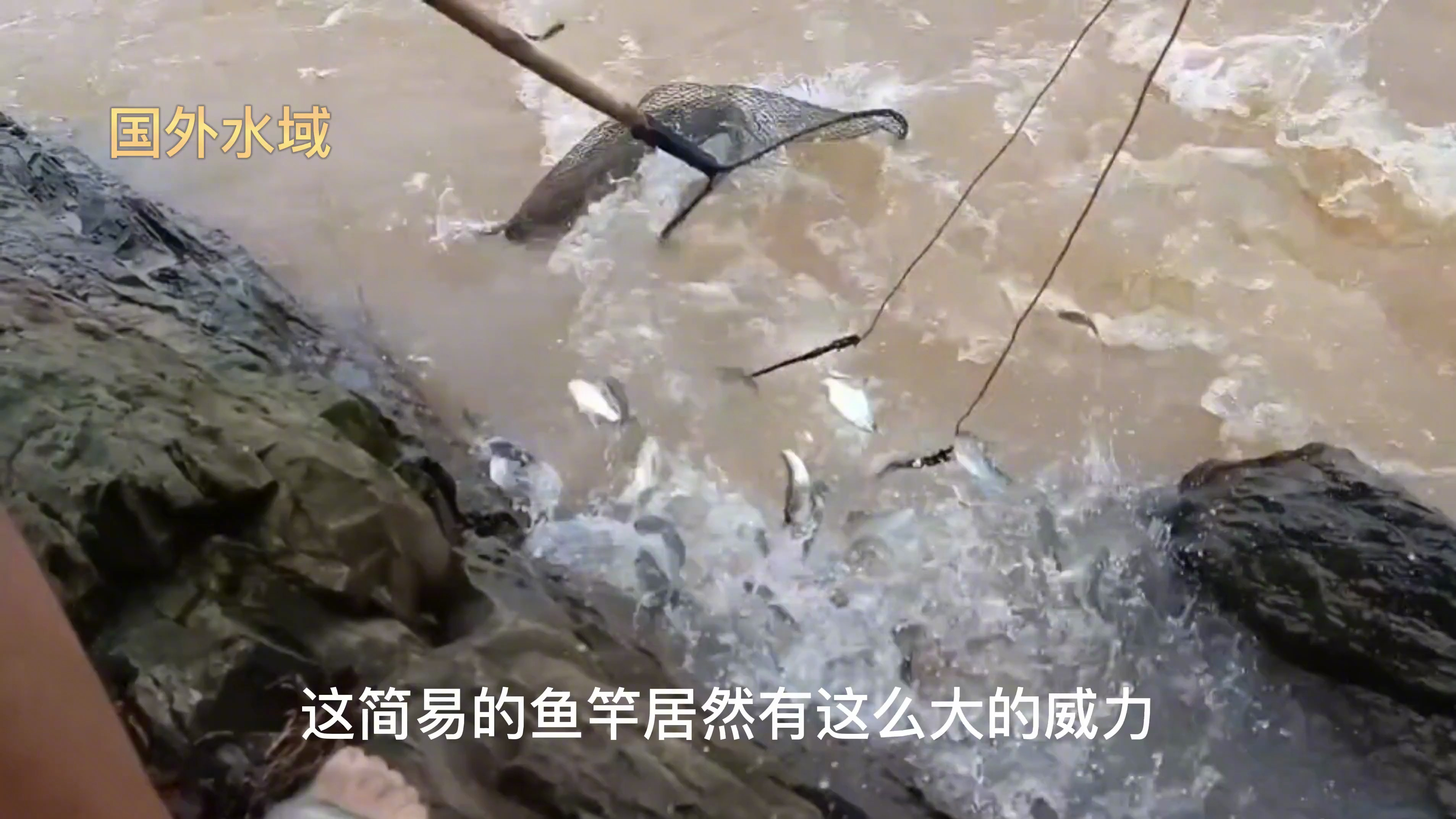 新能源鱼竿的威力居然如此巨大,真实户外鱼获满满,户外捕鱼