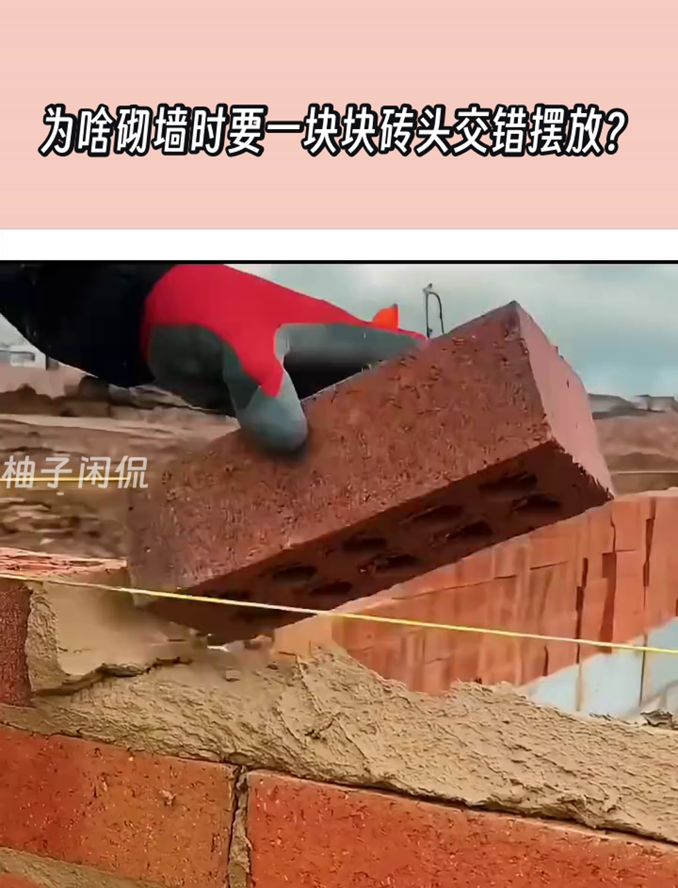 变砖是什么意思(编撰是什么意思解释)