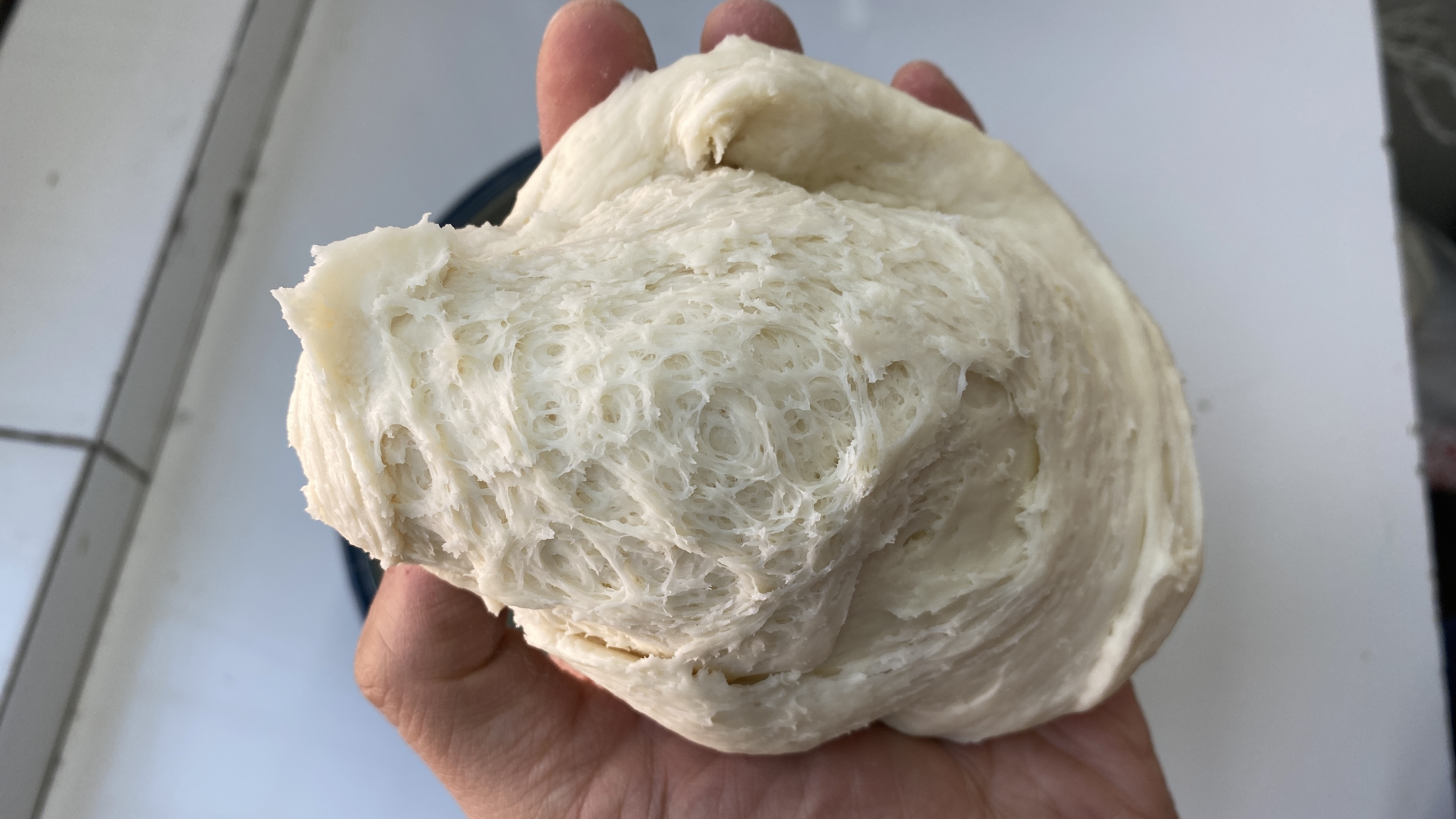 30年老保姆教我做老面肥,不用酵母发面做面食,2样食材,超简单