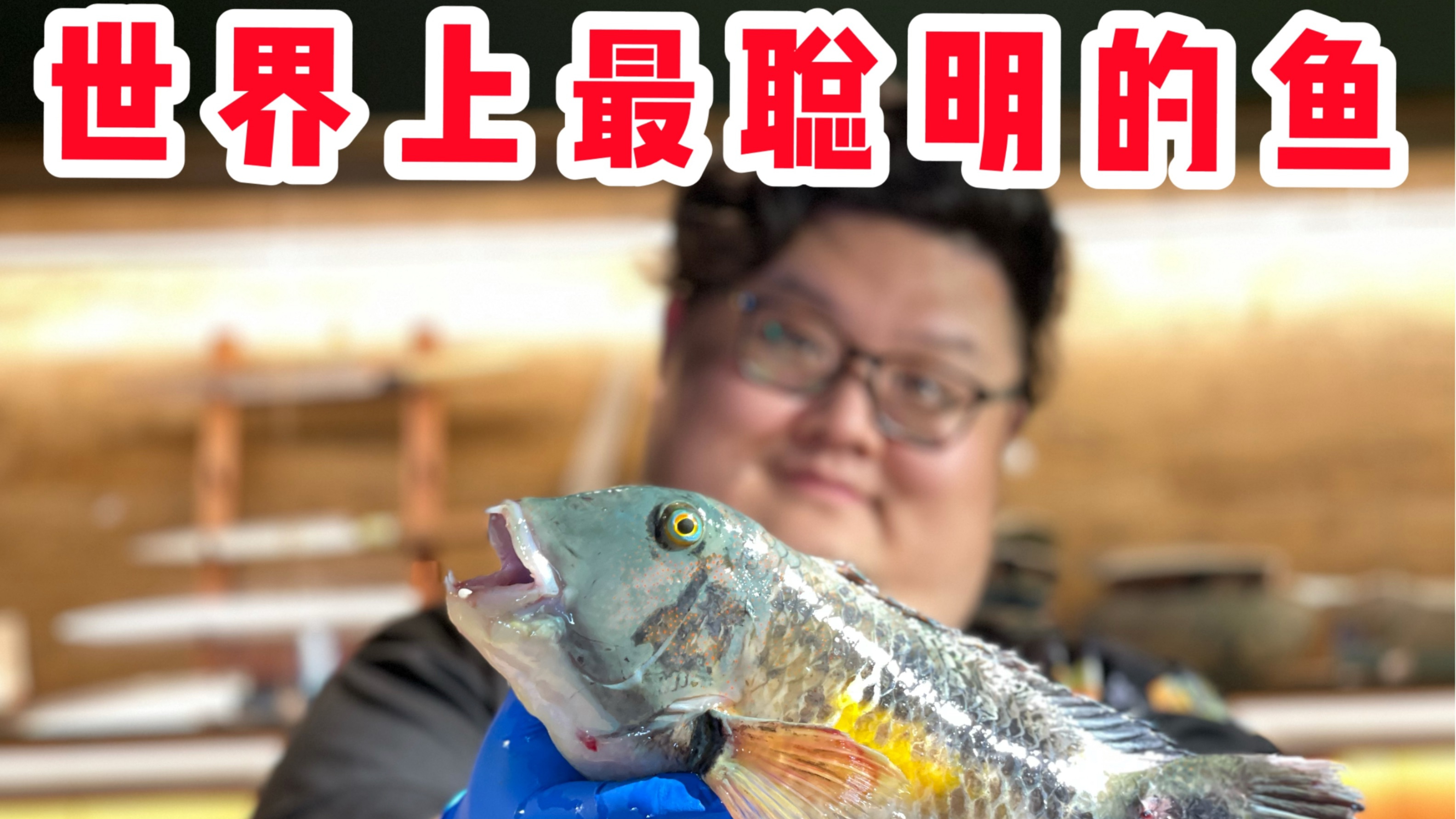 会用工具猎食的鱼什么味道?世界上最聪明的鱼竟然~ 猪齿鱼