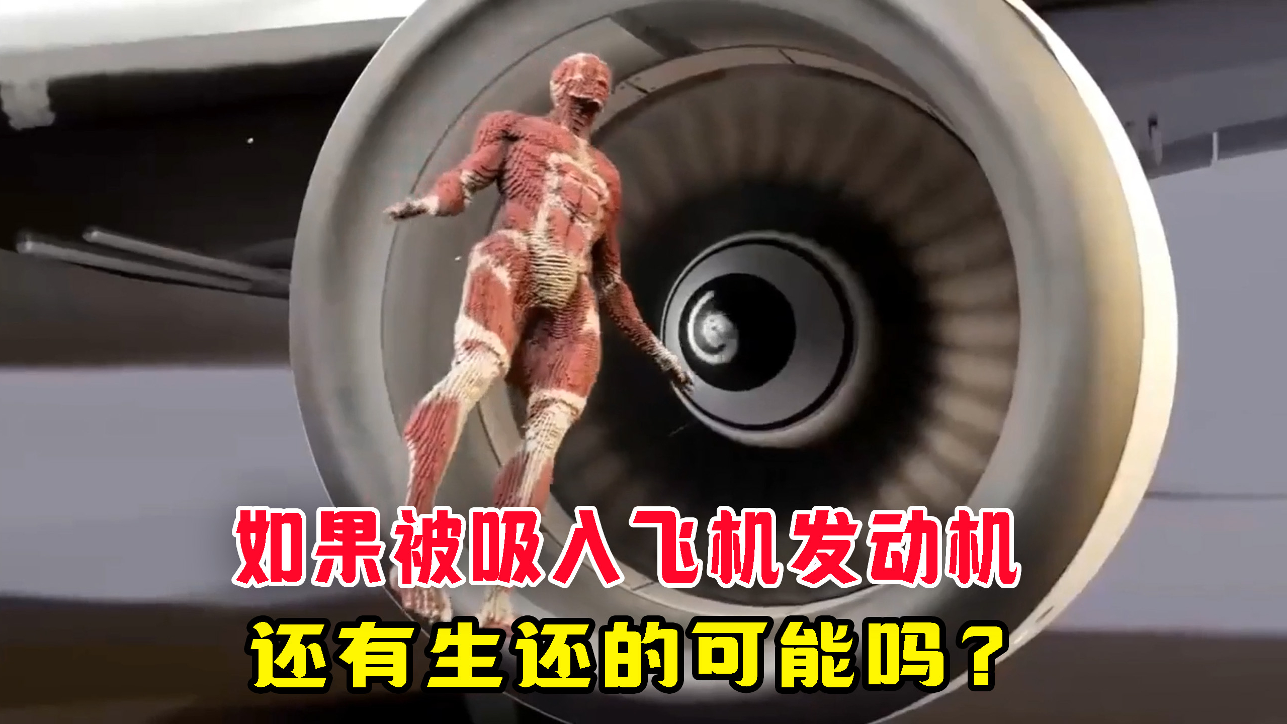 美国飞机再次吸人,如果被发动机吸进去会如何?还有生还的可能吗