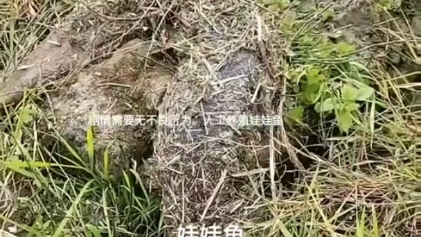 一般人不知道是什么