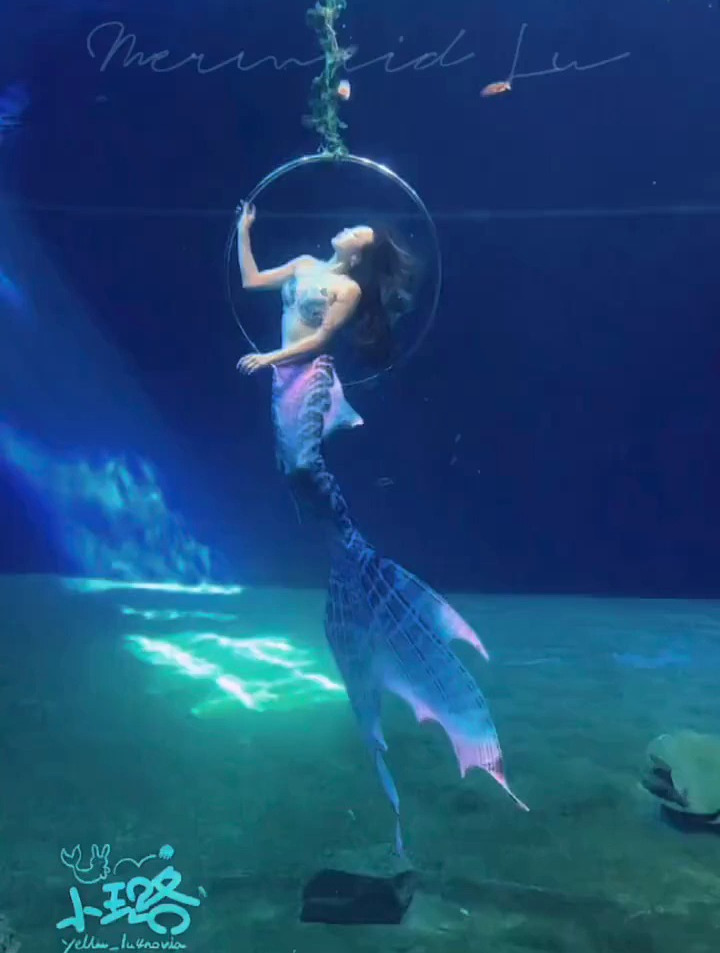 美人鱼在水里表演太漂亮了,这是我见过的真正的美人鱼,海洋世界