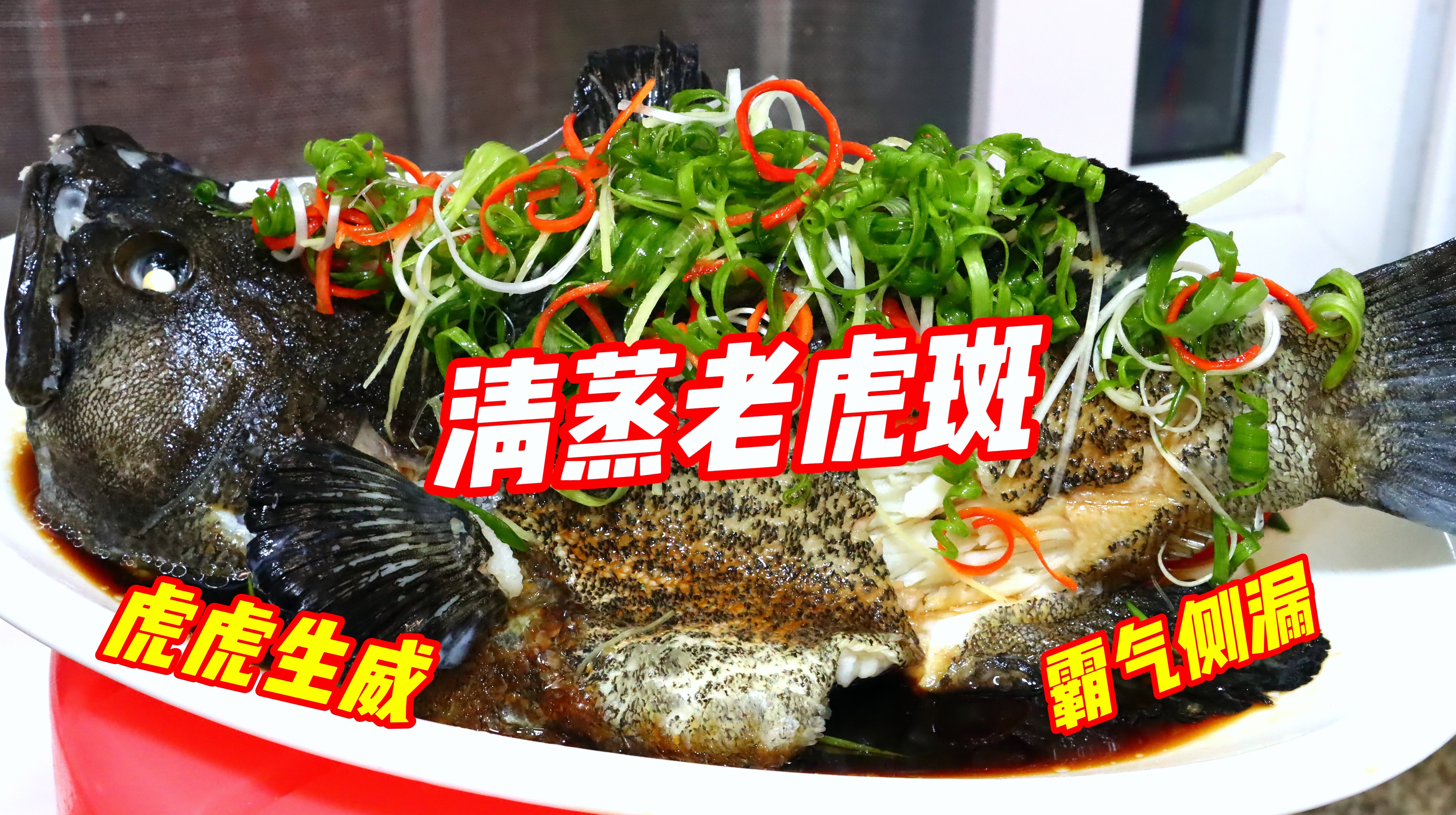 虎年年夜安排“清蒸老虎斑”!鲜味十足,霸气侧漏,太有面了
