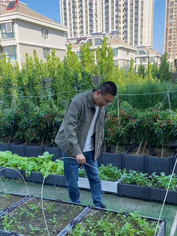 天气变冷,家里种菜的试试这个新型拱棚支架吧,结实耐用