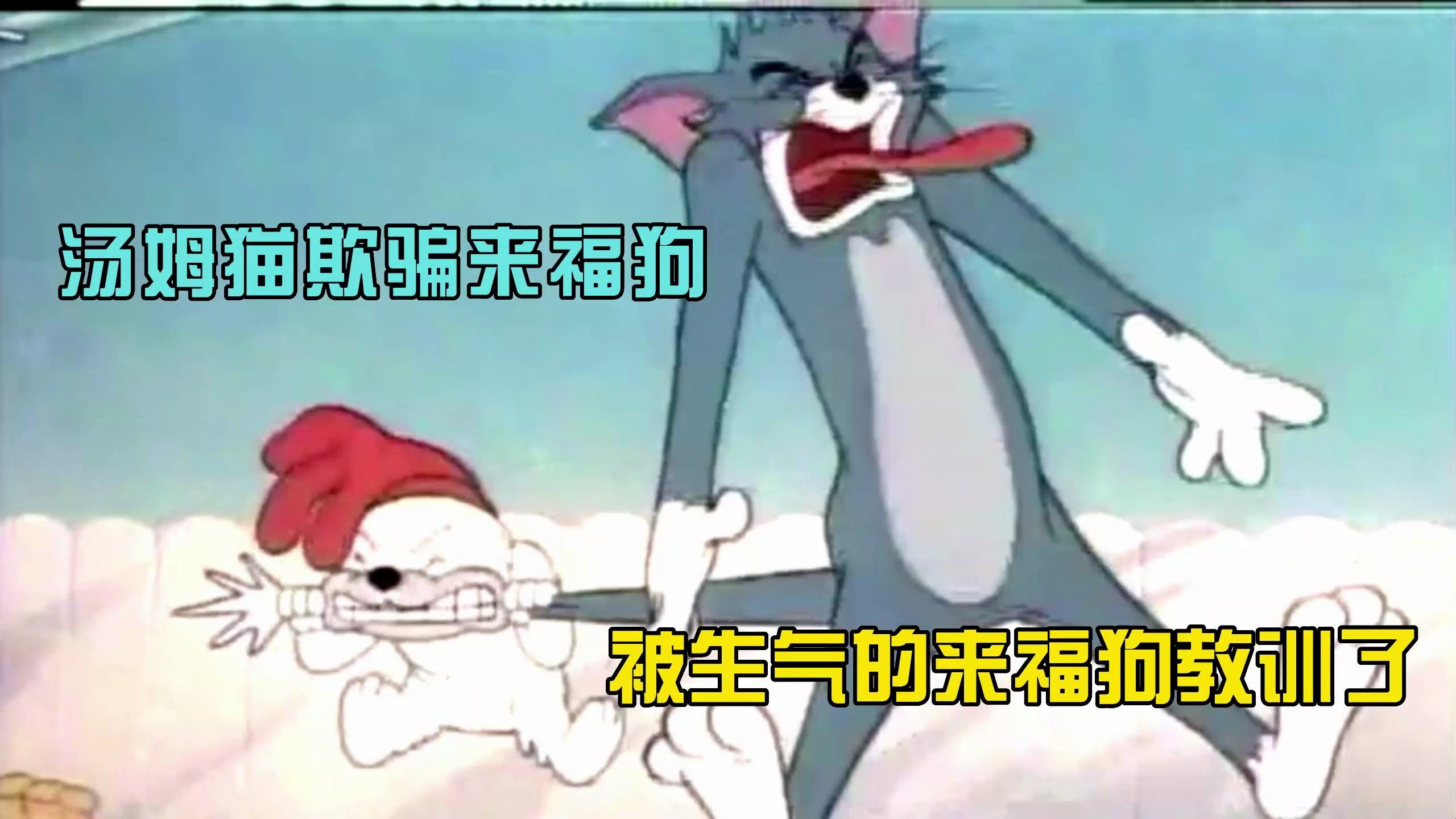 猫和老鼠:汤姆猫欺骗来福狗,被生气的来福狗教训了