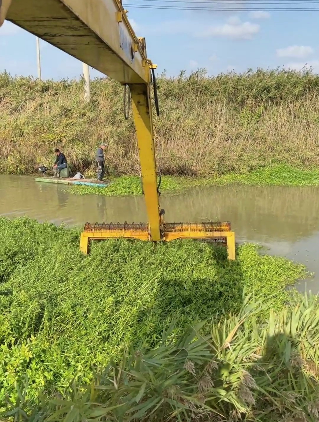 挖机解压式清理河道,全是漂浮的水草,清理起来太解压了