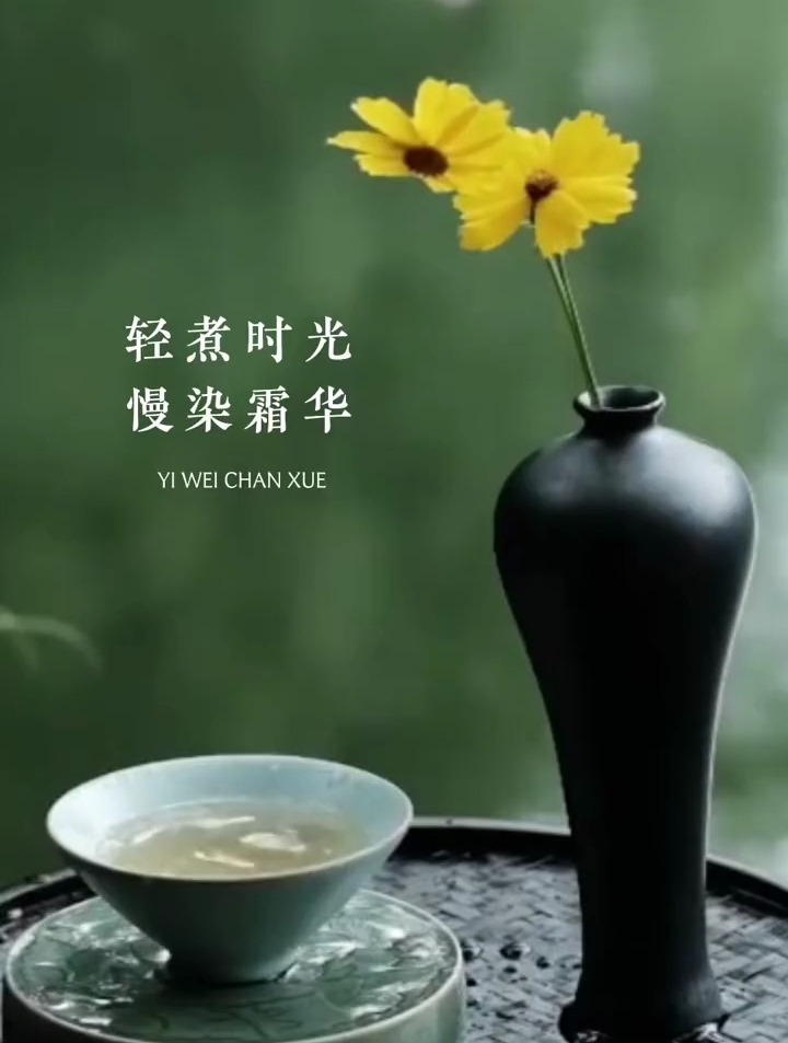 闲庭独坐对闲花,轻煮时光慢煮茶