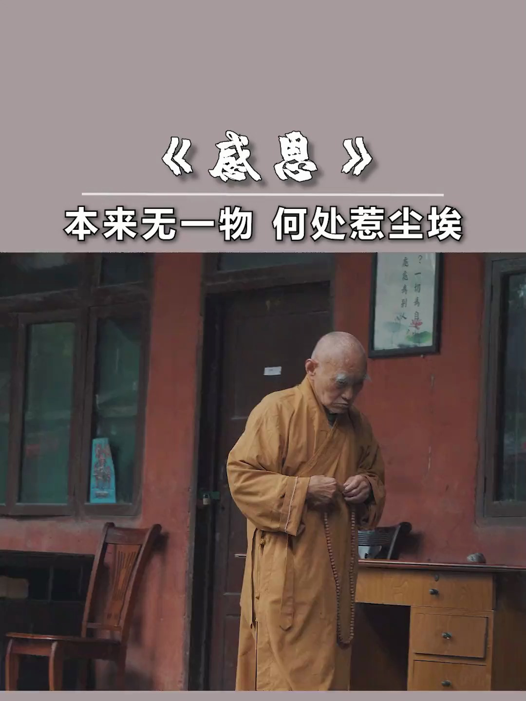 禅缘佛语图片