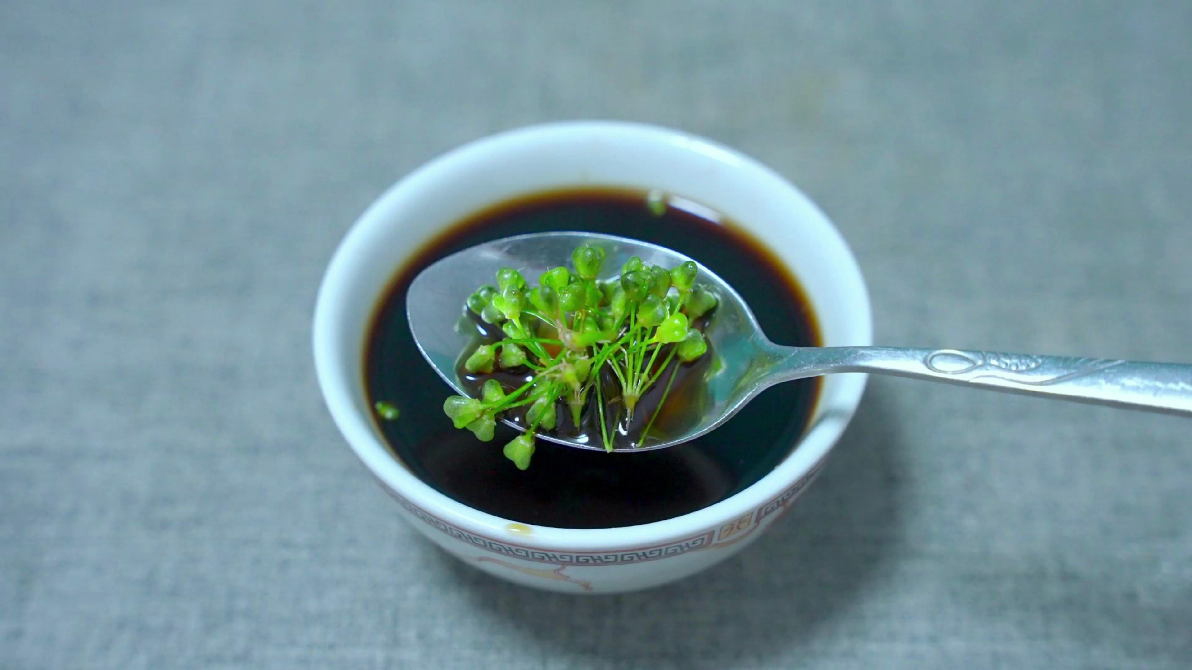 韭菜籽用陈醋泡3天,作用真厉害,解决很多家庭的问题,省钱实用