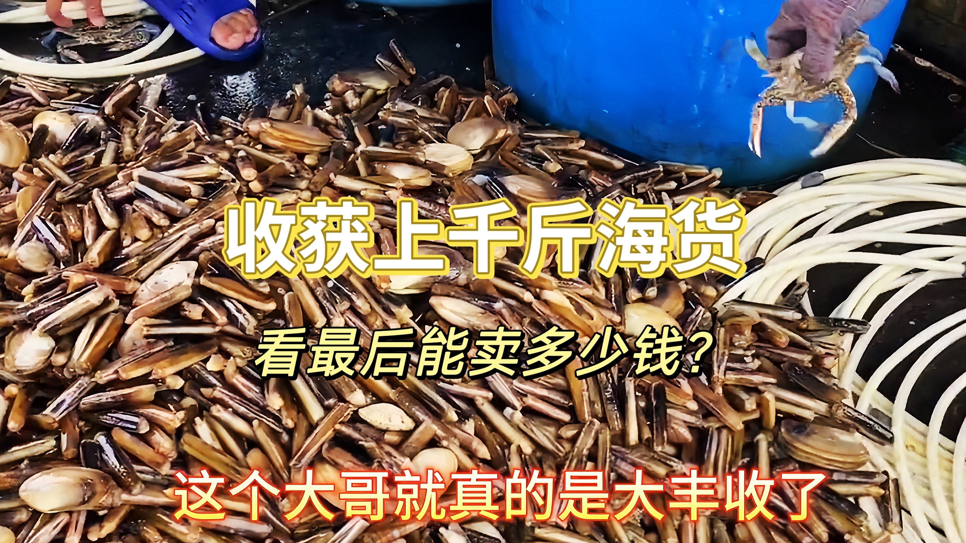 这次出海抓海鲜大丰收,抓到上千斤的海货,看看最后能卖多少钱吧
