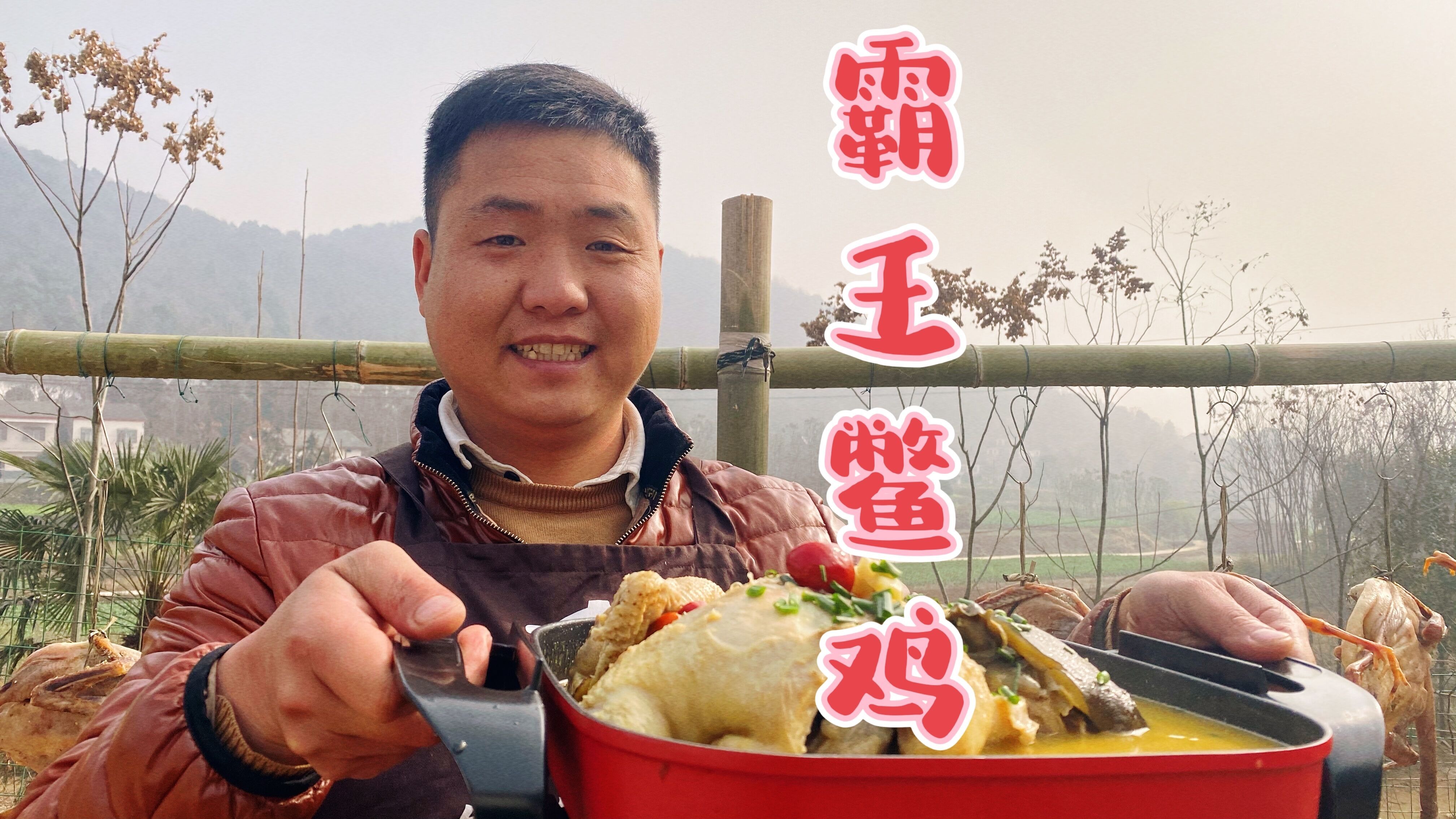 一只甲鱼一只土鸡做“霸王鳖鸡”,汤鲜味美,直接抓起大口啃过瘾