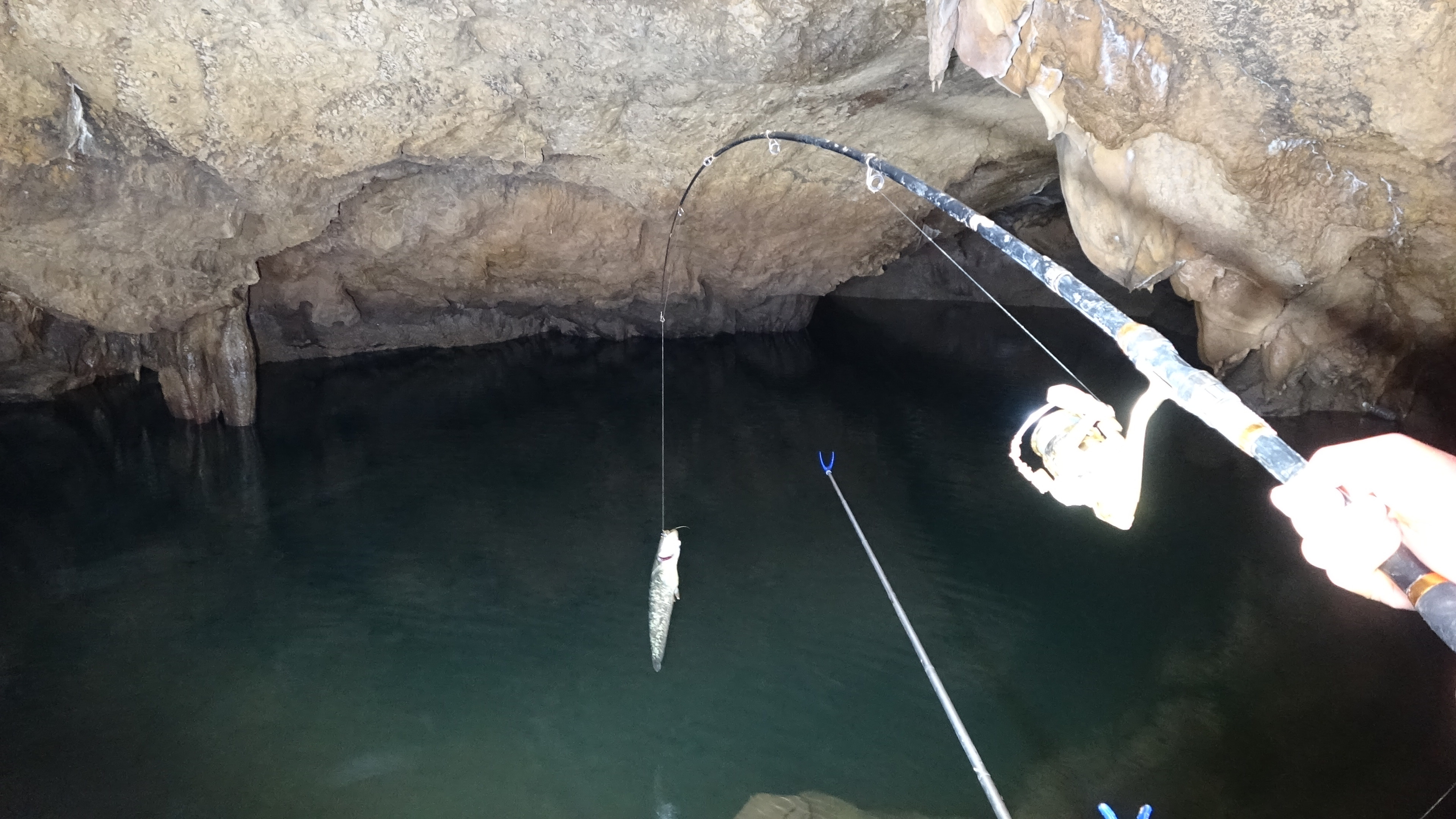 深山里找到一个山洞，60块一斤鲶鱼真多，钓到停不下来