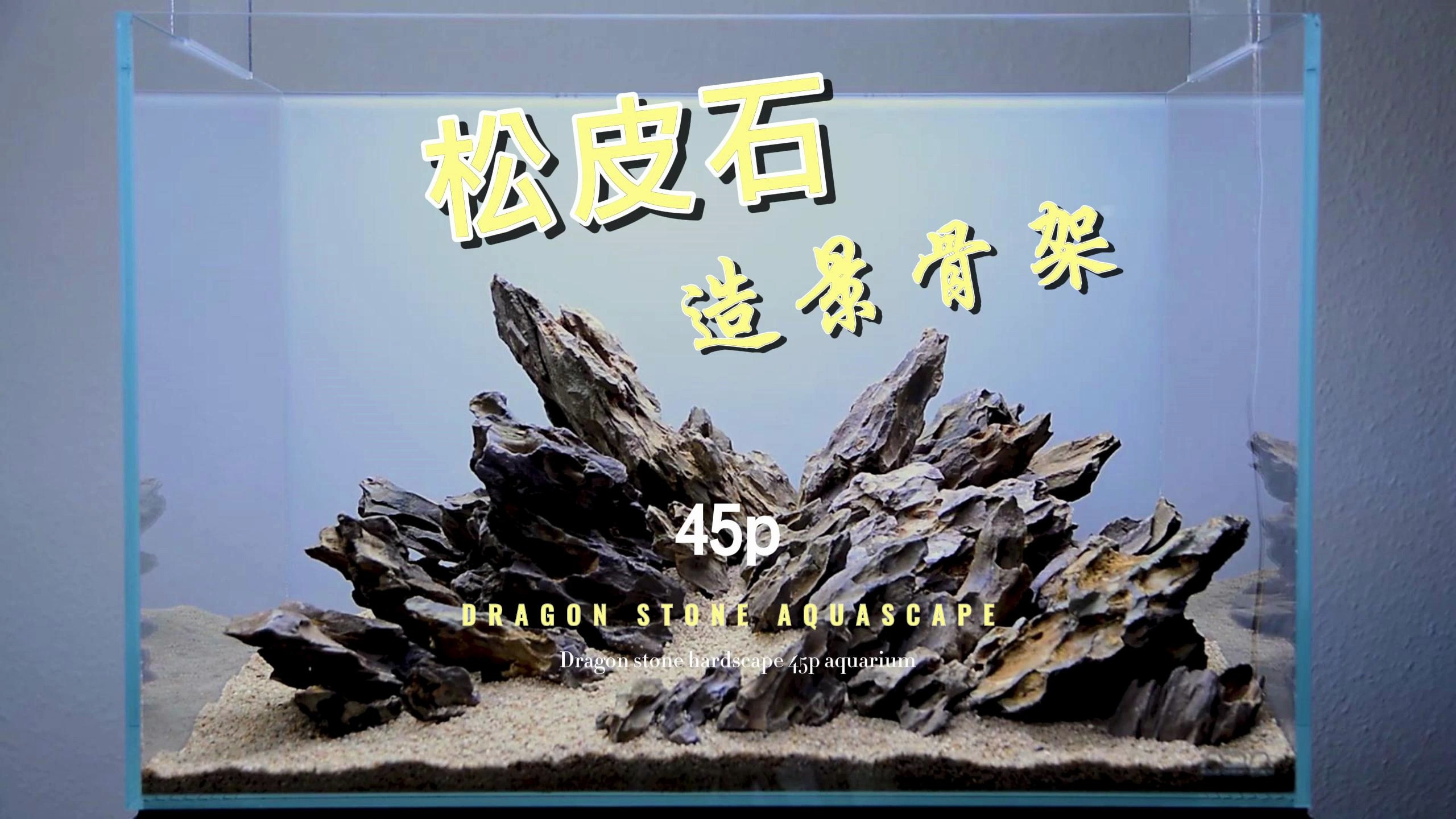 一分钟学会鱼缸造景,巧用松皮石打造造景骨架