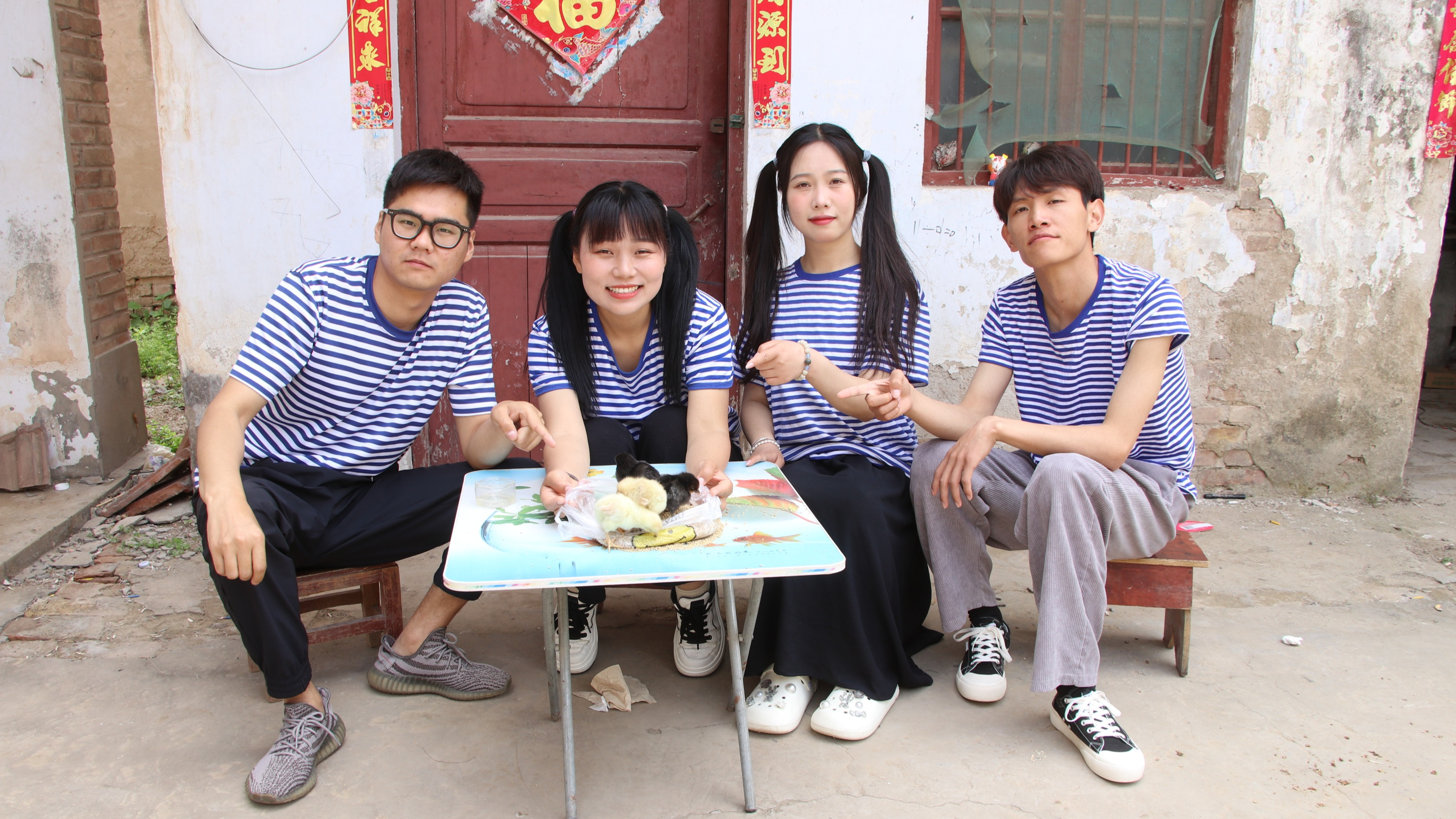 小鸡3:小伙伴们兑钱给小鸡买饲料,大家把小鸡宝宝照顾的真好!