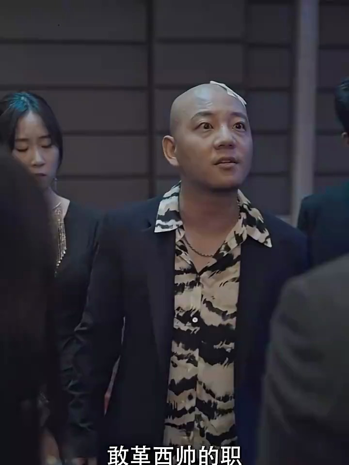 美女总裁的镇疆龙帅15