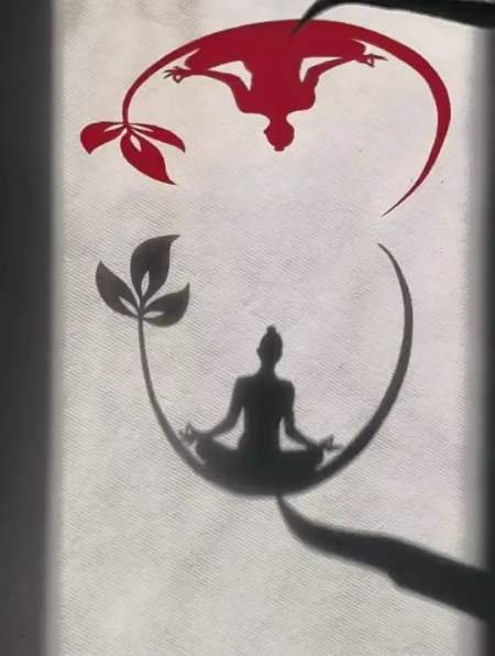 剪纸的影子 当剪纸遇到光明 剪纸艺术传承-度小视