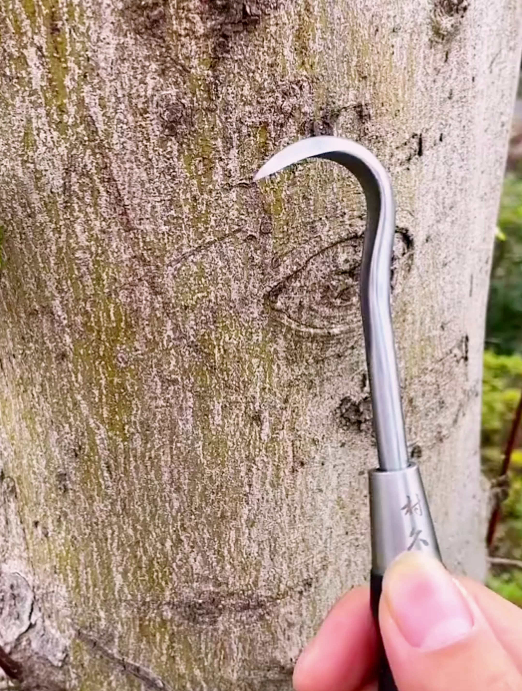 村久拉丝刀尖头a款展示,盆景制作中少有的一款工具