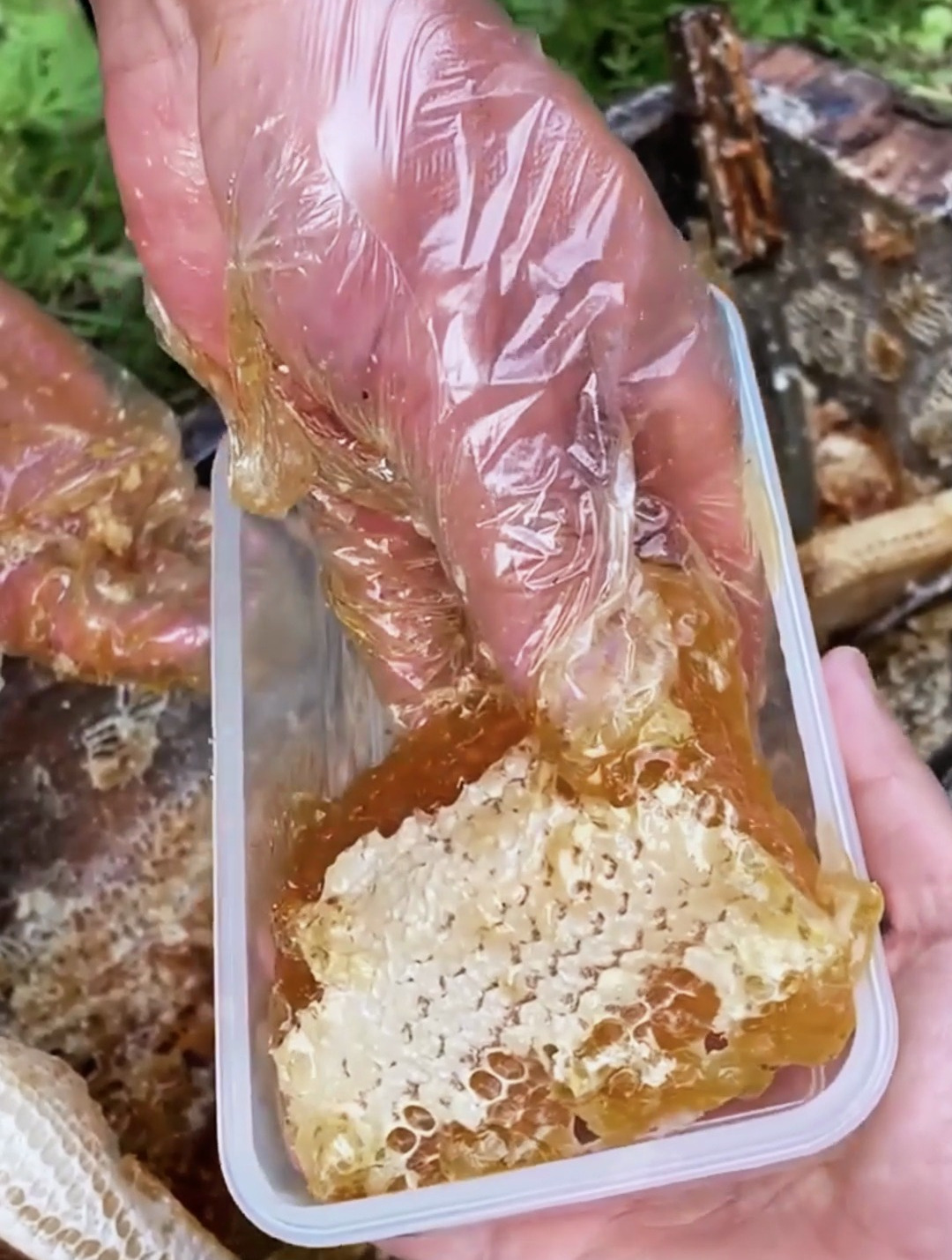 蜂巢蜜 纯野生蜂蜜 正宗土蜂蜜