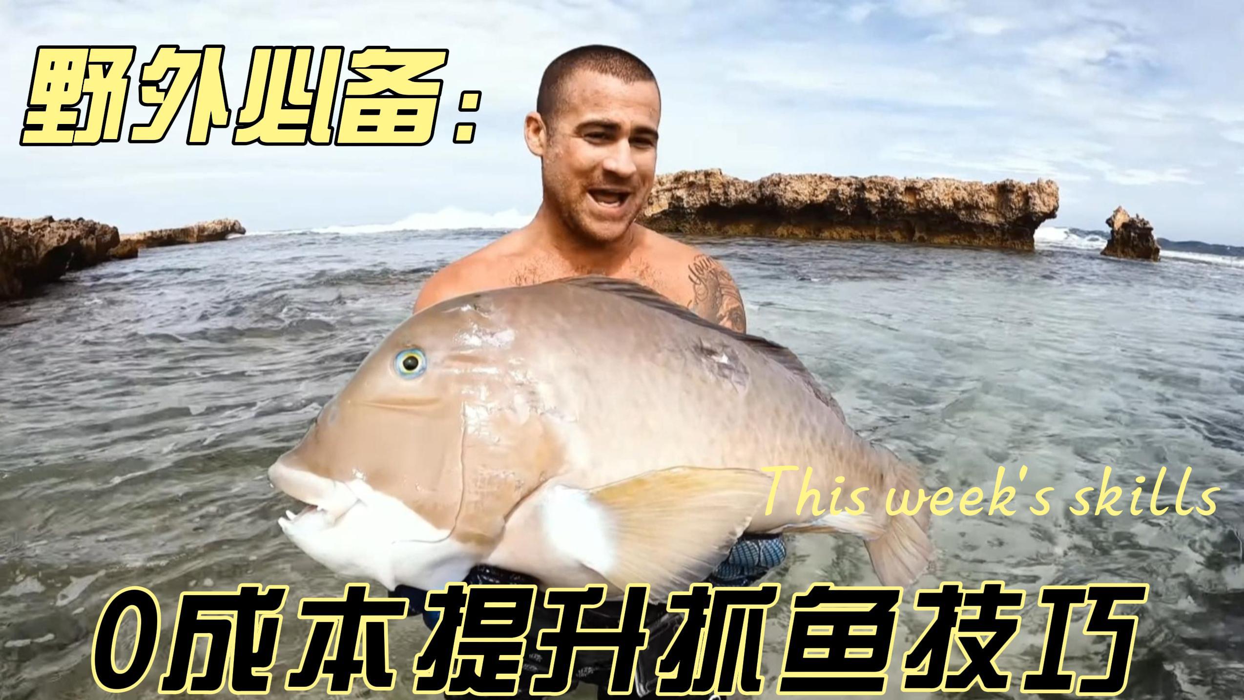 在浅滩赶海,重约十几斤的海鱼随便抓,而且还有大龙虾!太牛了!