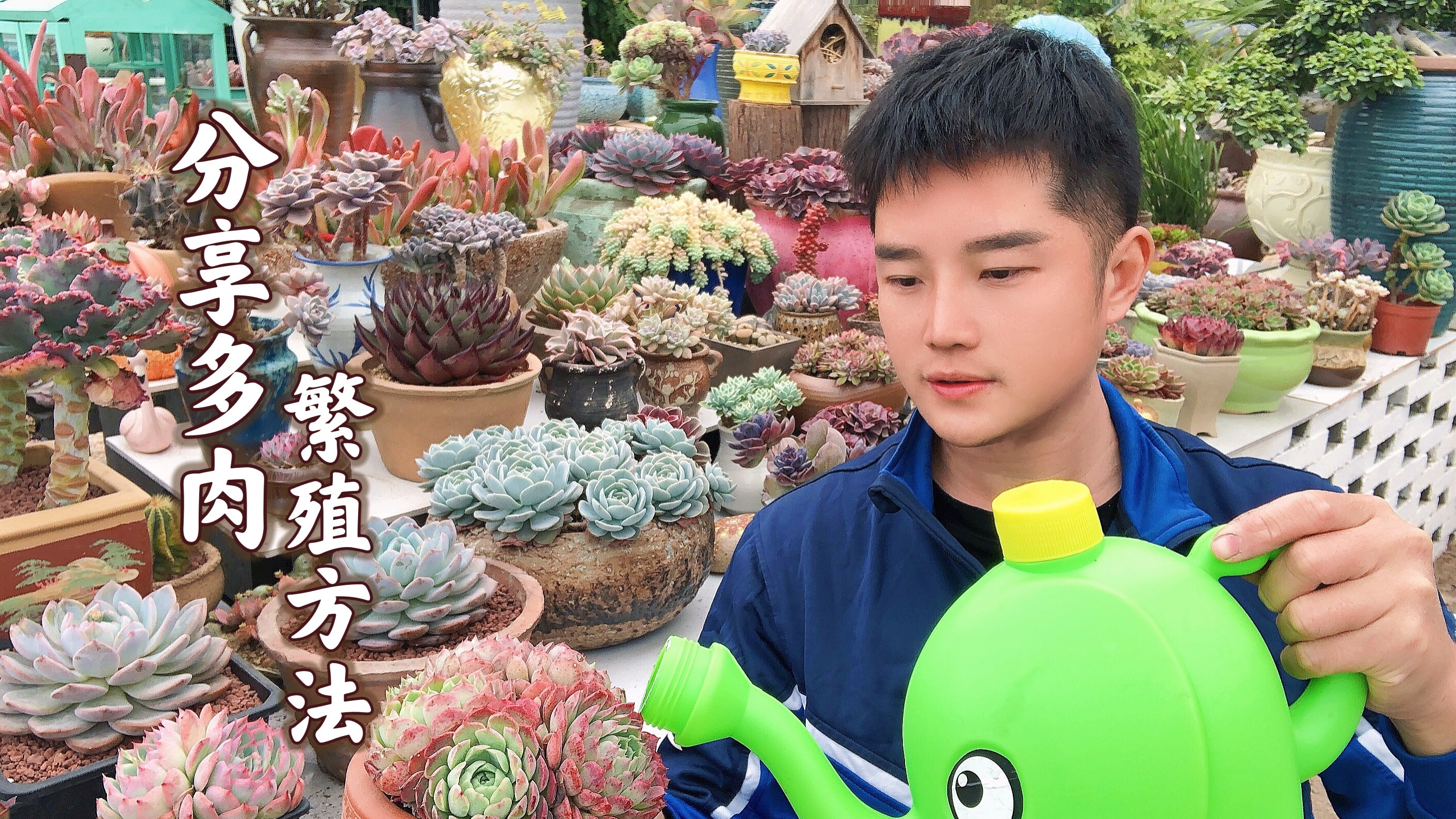 在家自己繁殖多肉植物,这几招,你都用过吗?