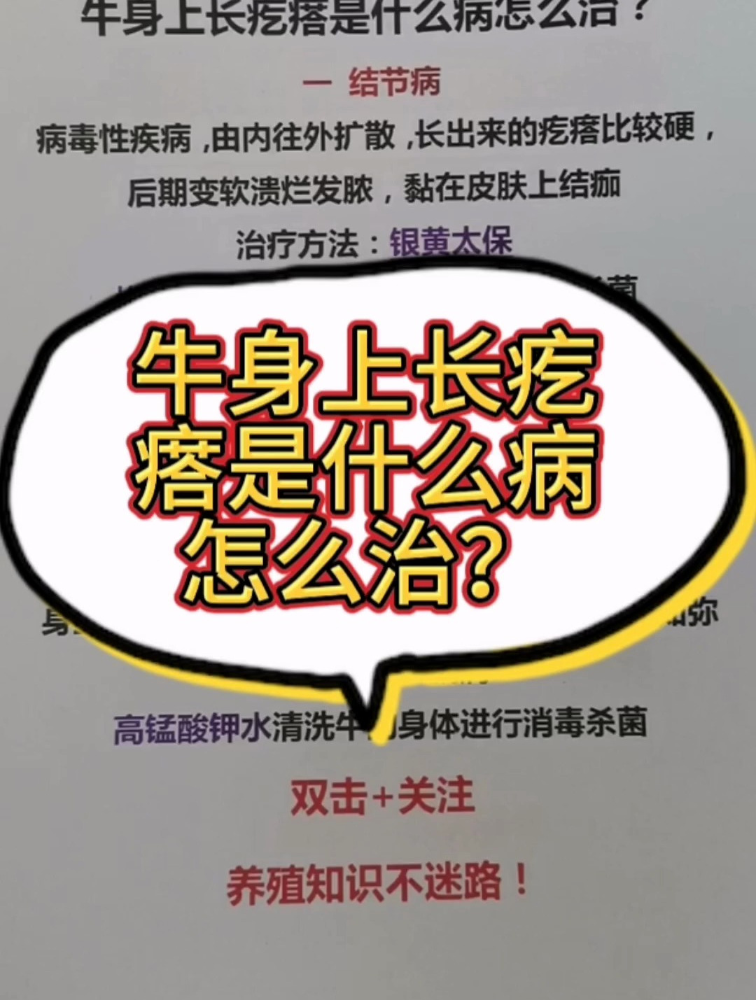 牛身上长疙瘩是什么病怎么治?