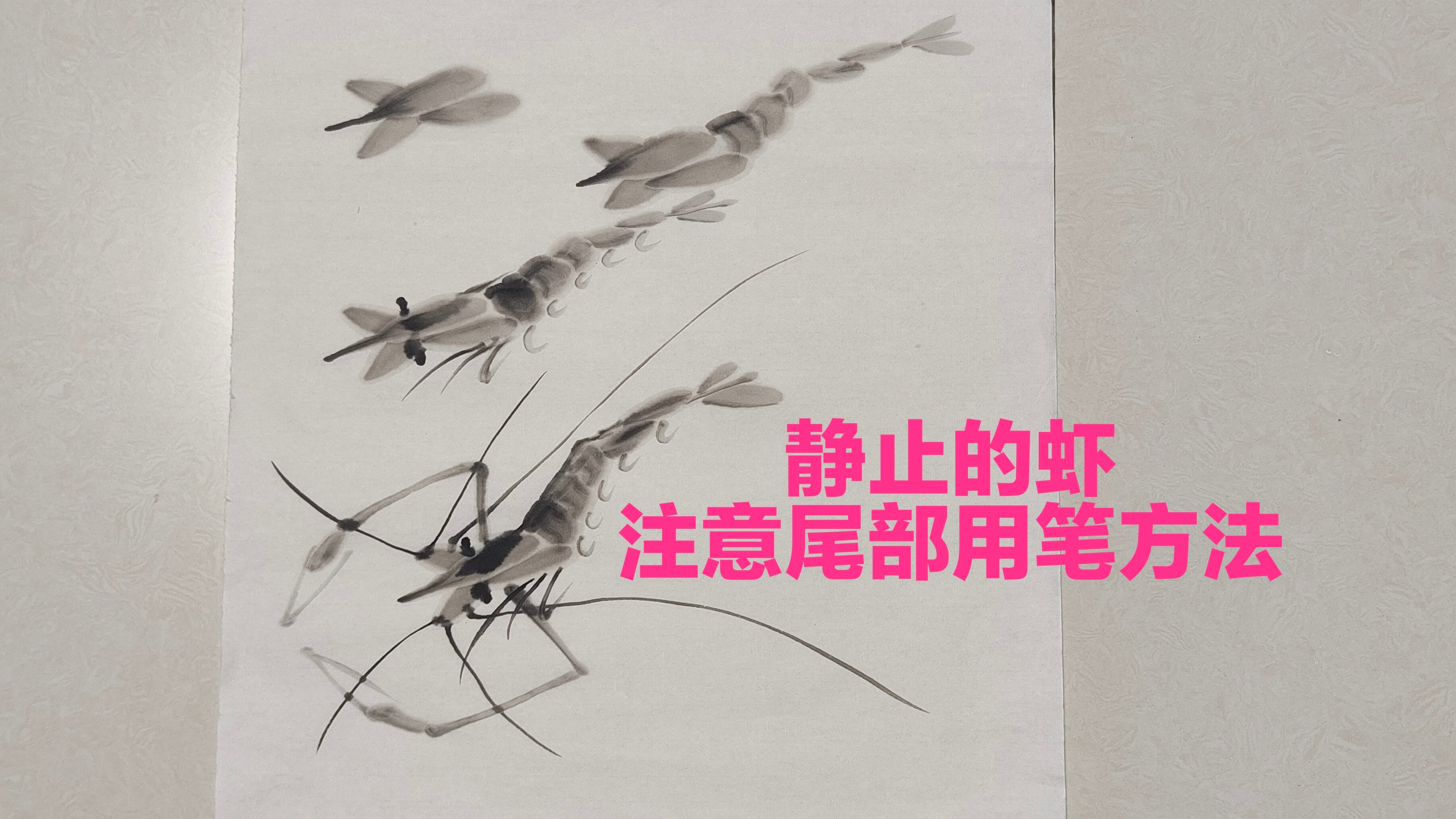国画水墨虾——静止画法