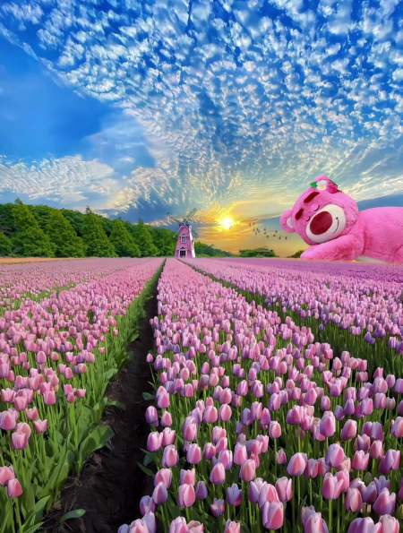 浪漫的花海当然要和你一起看呀