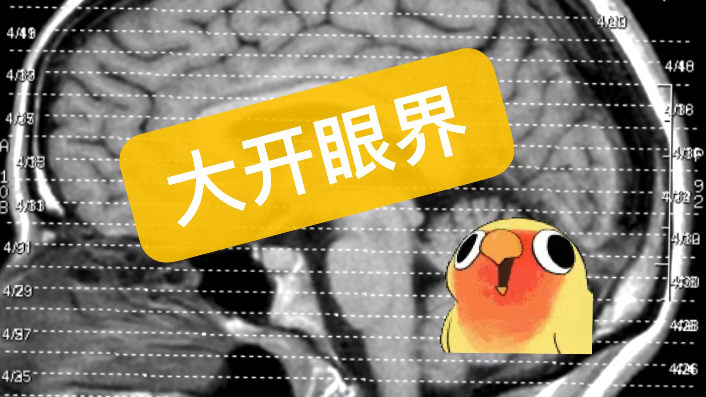 「大开眼界」国外令人叹为观止的观景平台