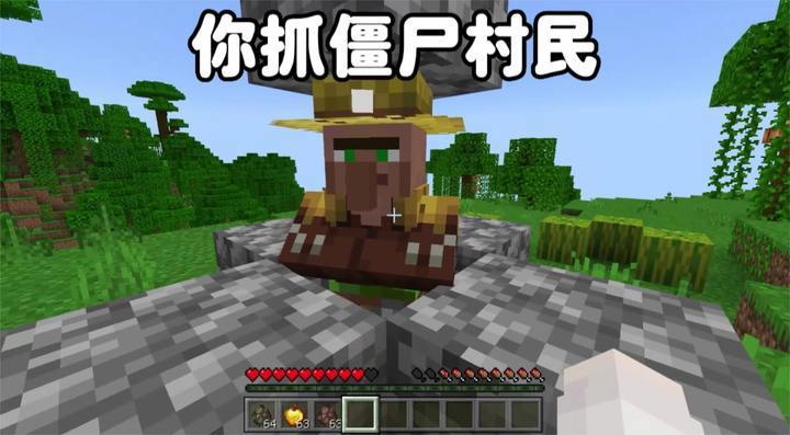 我的世界:你抓僵尸村民