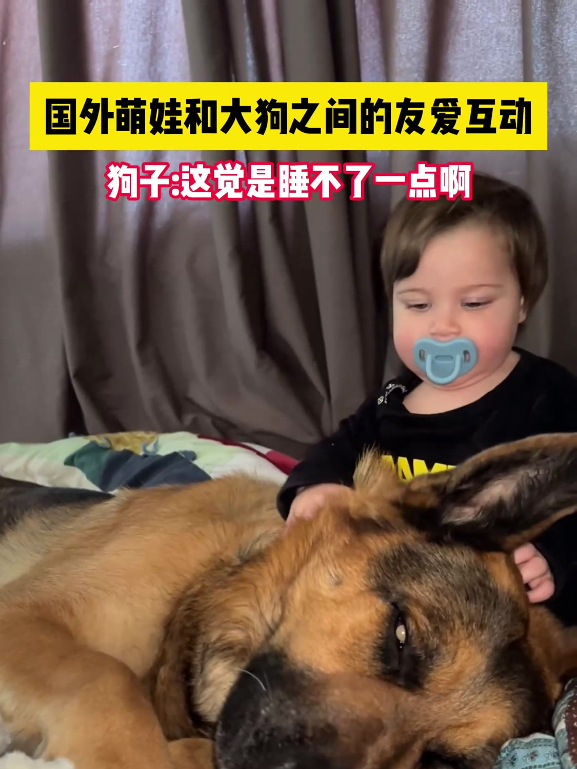 国外萌娃和大狗之间的友爱互动