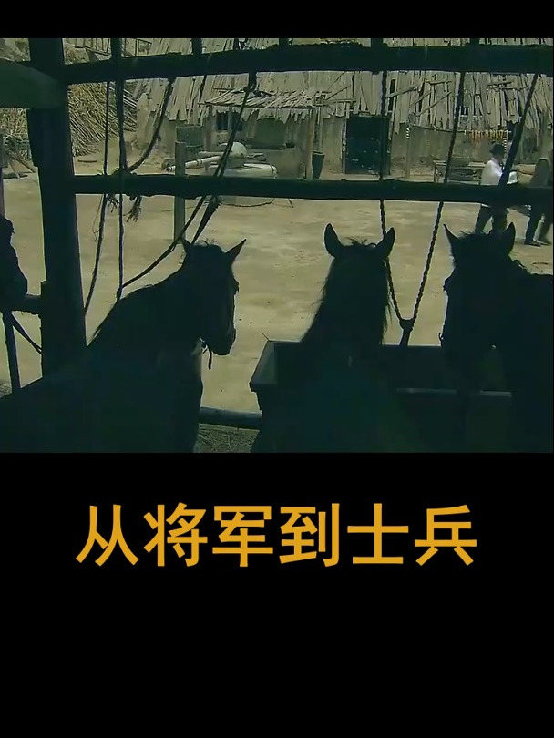 从将军到士兵:王朝天解读男性表情之谜