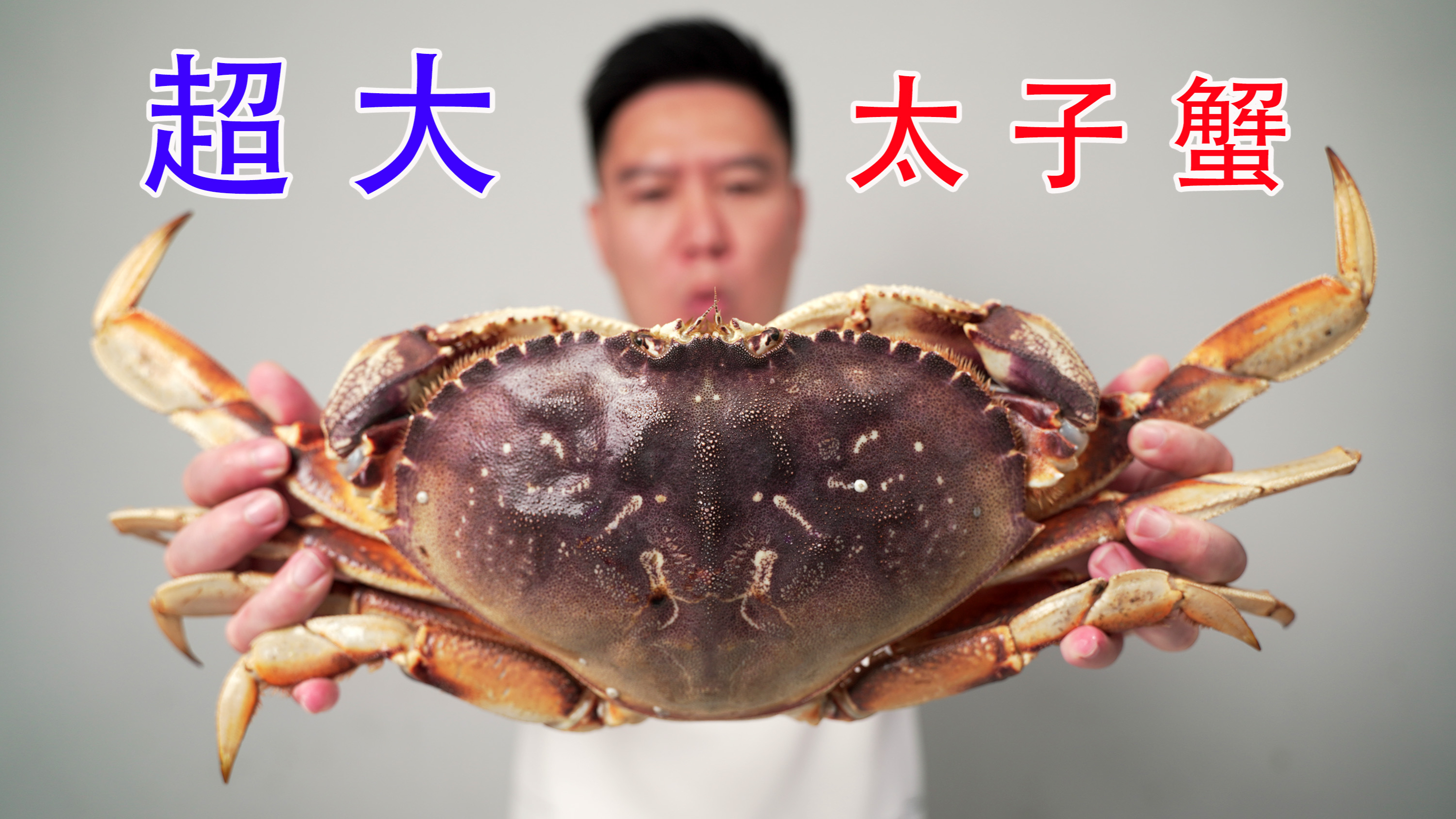 超大太子蟹，掀开蟹盖的那一刻震惊了，用砂锅焗越吃越上头
