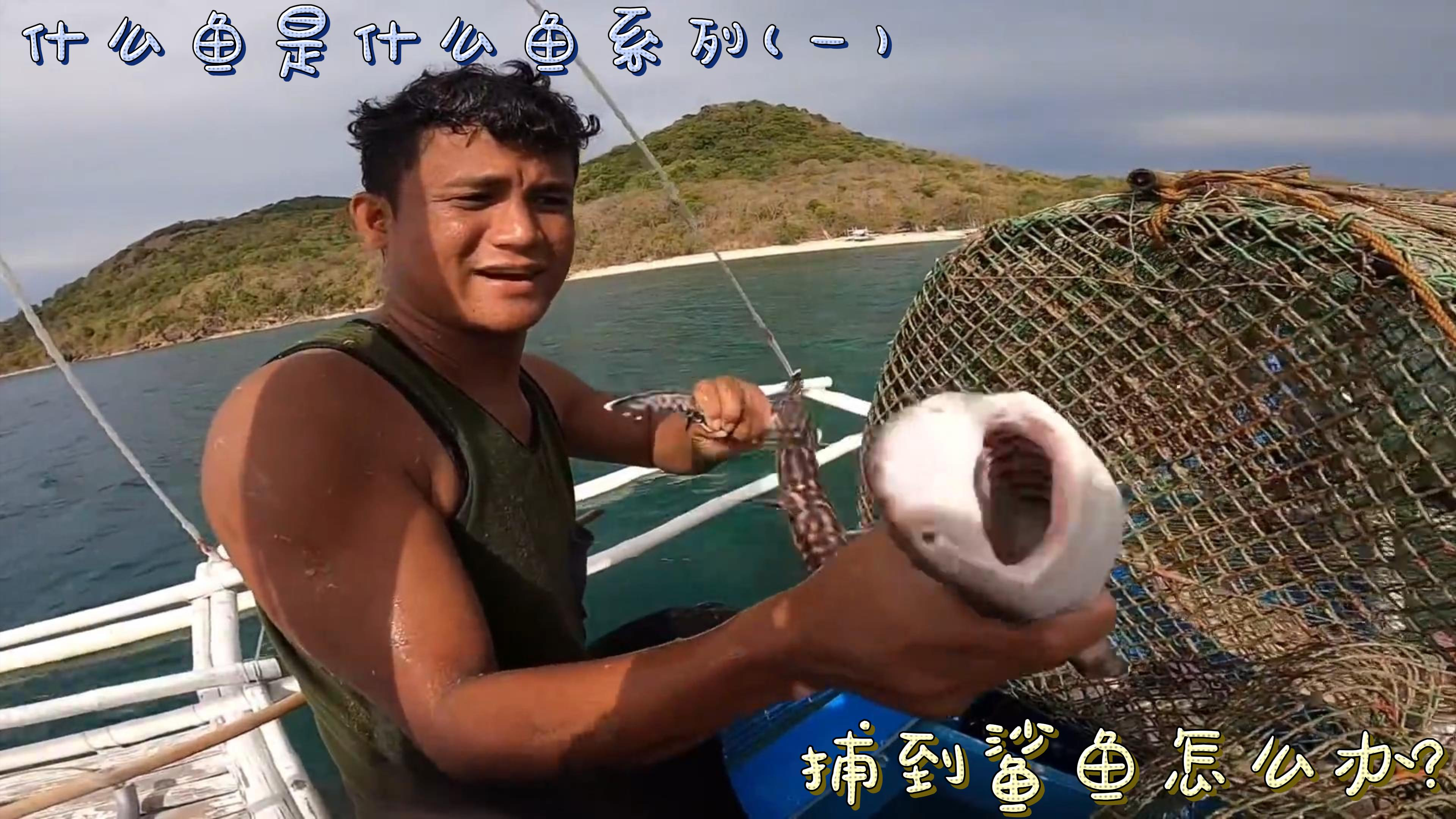 捕到鲨鱼该怎么办