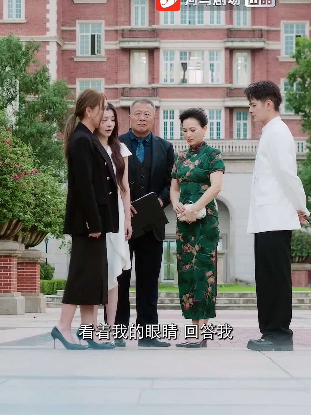 【热播短剧】家庭煮夫 65