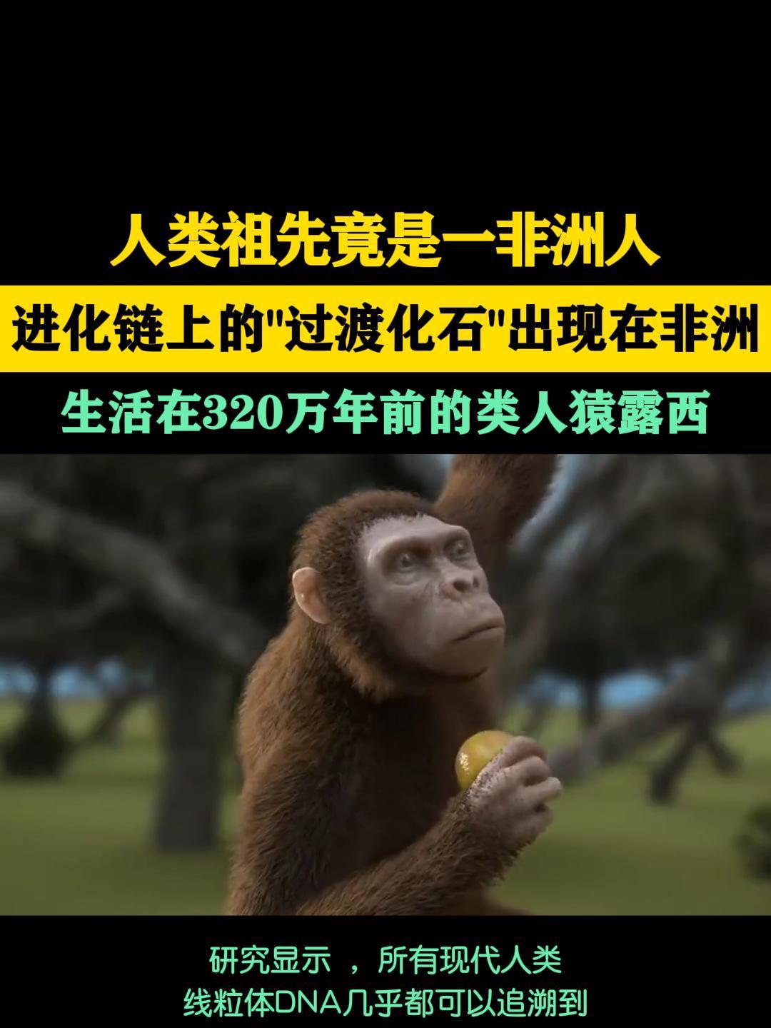 现代人类祖先竟然是她!