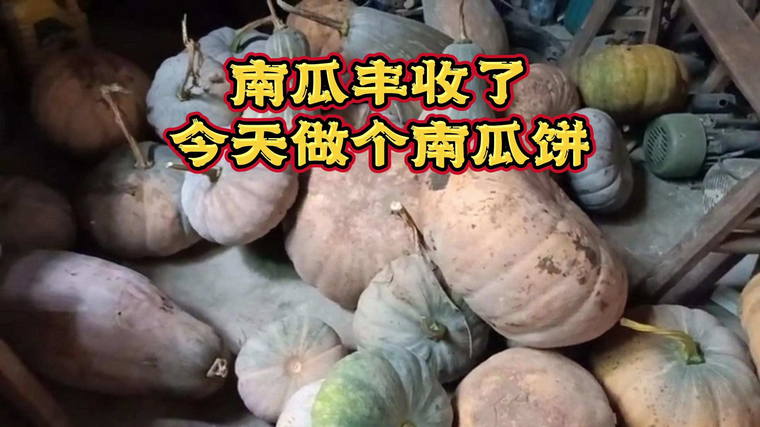老南瓜的季节,做南瓜汤圆,或者做成南瓜饼和丸子!
