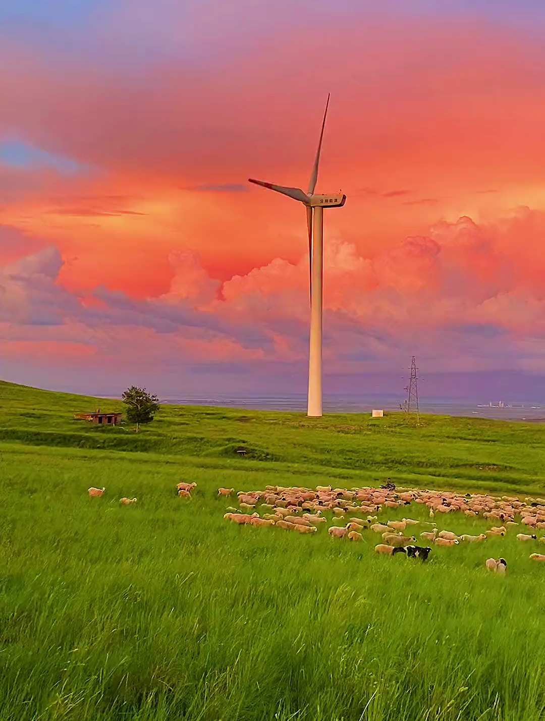 风车羊群,草原有你不寂寞,草原有你风景美如画