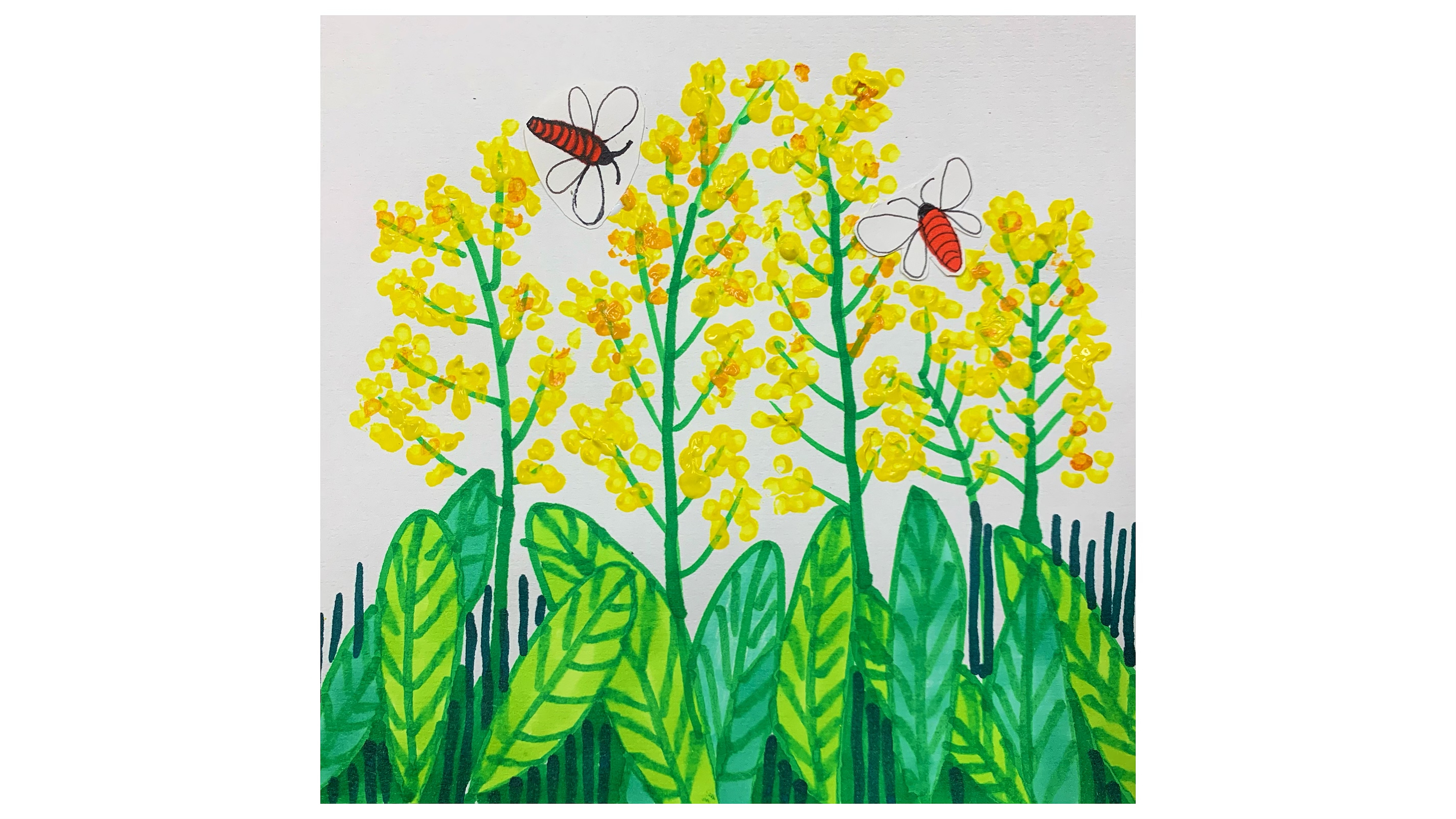 儿童画,油菜花田