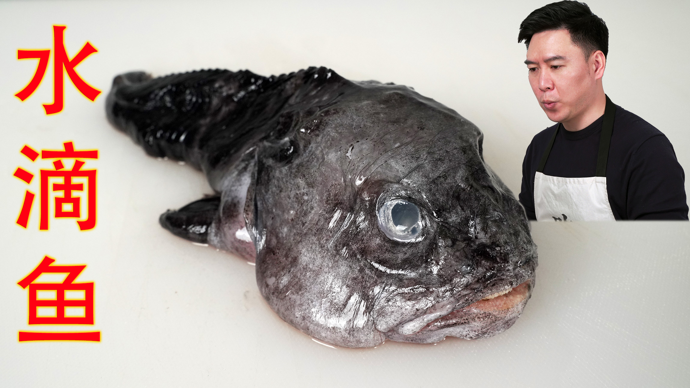 试吃世界上最丑的鱼，水滴鱼，一口下去口感爆棚